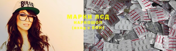 молекула духа Щигры