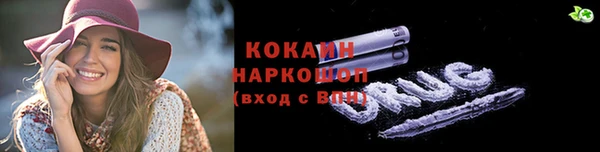 молекула духа Щигры