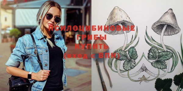 молекула духа Щигры