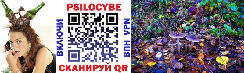Псилоцибиновые грибы мухоморы  закладки  Чердынь 